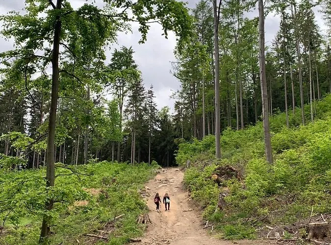 Apartament Dream Apart Ii Apartament Szklarska Poręba